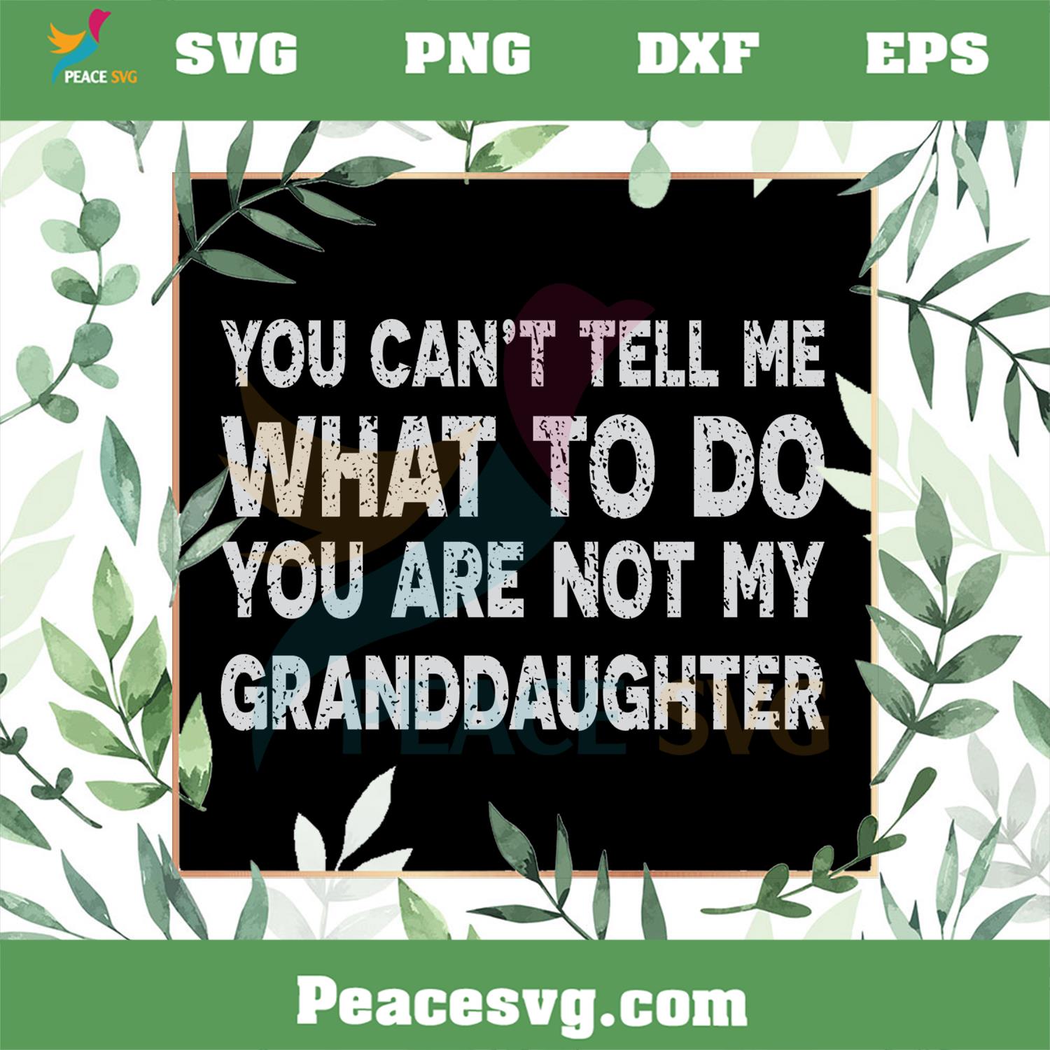 You Can’t Tell Me What To Do You’re Not My Granddaughter SVG Cutting Files