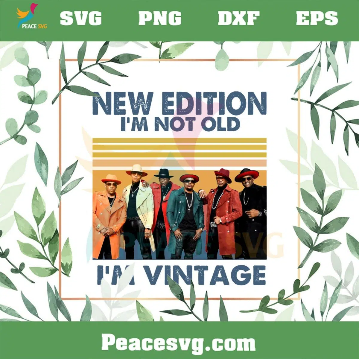 New Edition Im Not Old Im Vintage PNG Sublimation Designs