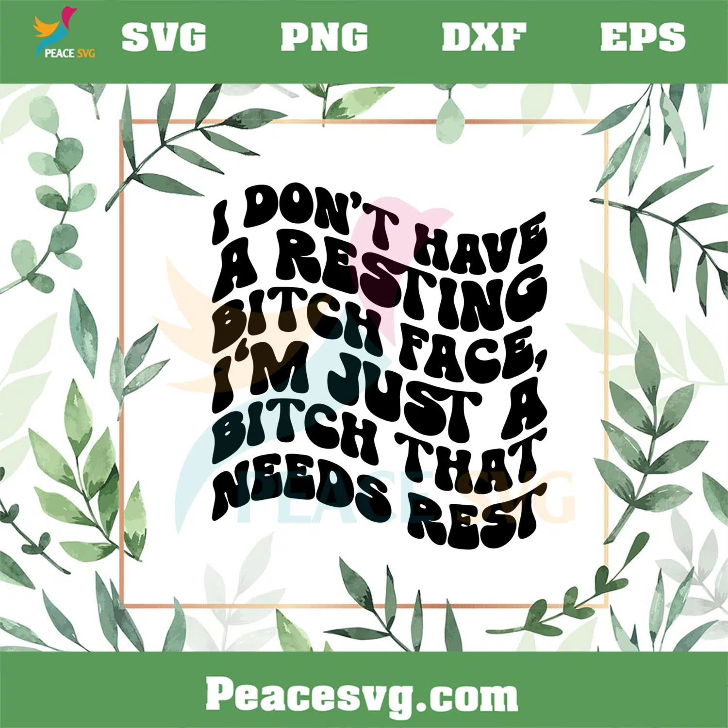 I Don’t Have A Resting Bitch Face SVG Files Silhouette DIY Craft