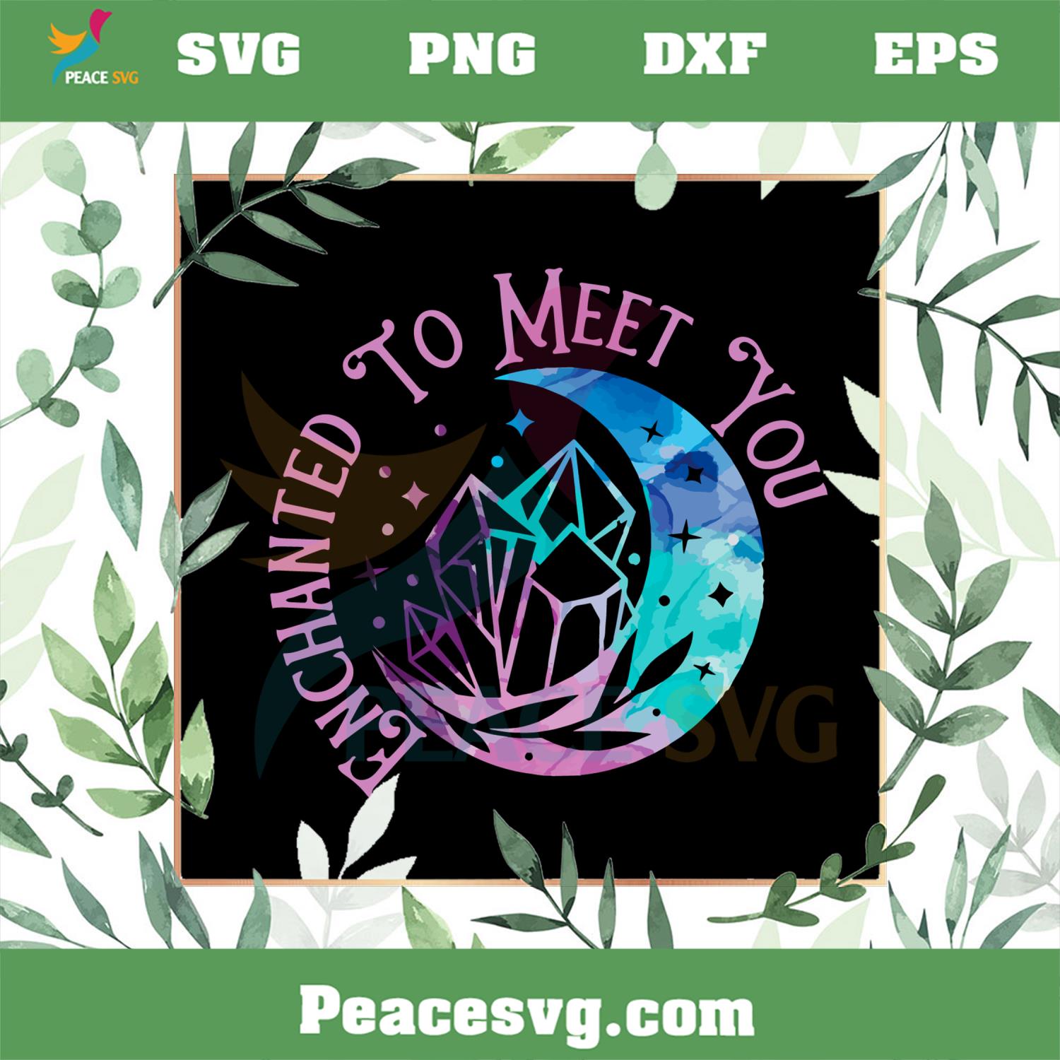 Enchanted To Meet You Taylor Swift SVG Graphic Designs Files