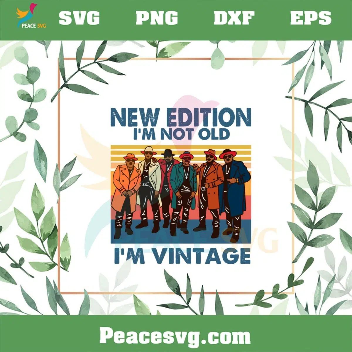 New Edition Im Not Old Im Vintage SVG Graphic Designs Files