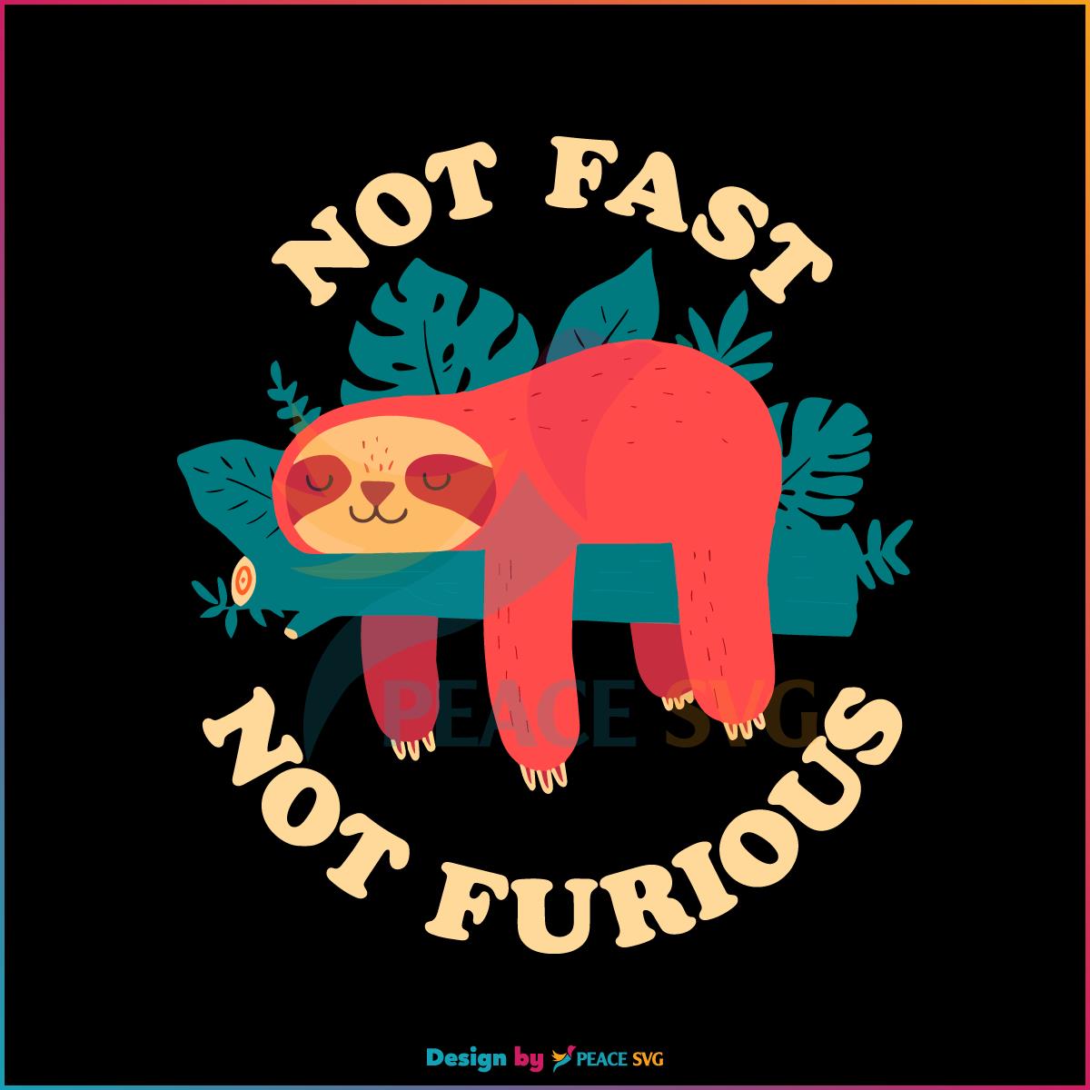 not-fast-not-furious-sloth-best-svg-cutting-digital-files