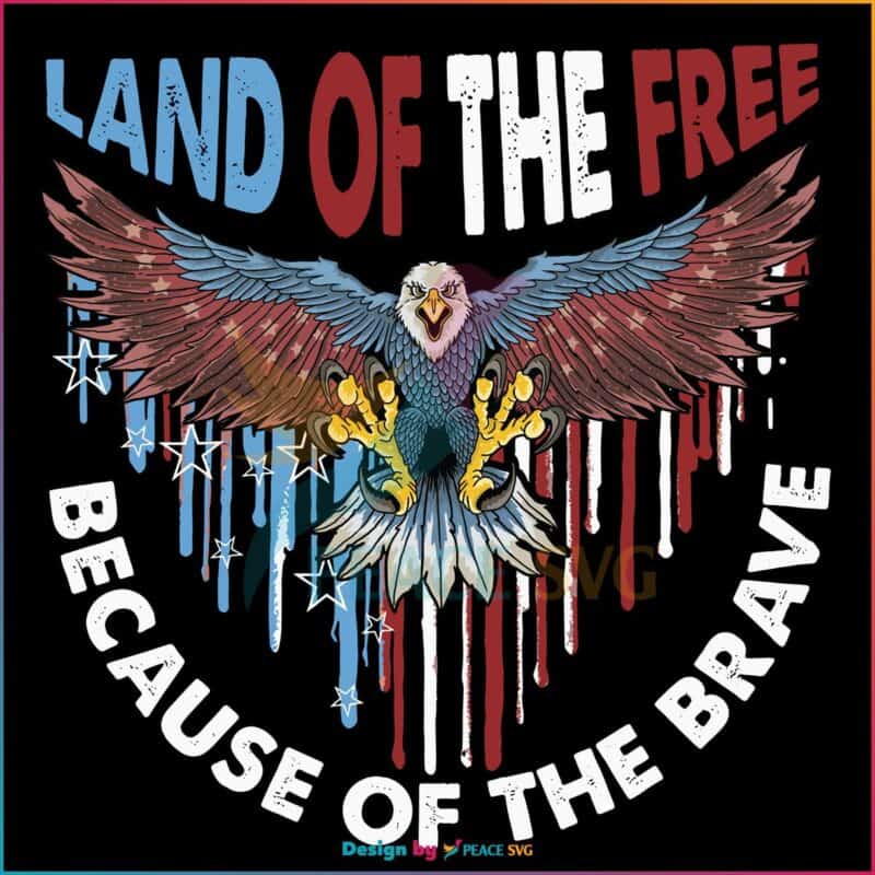 land-of-the-free-because-of-the-brave-fourth-of-july-svg