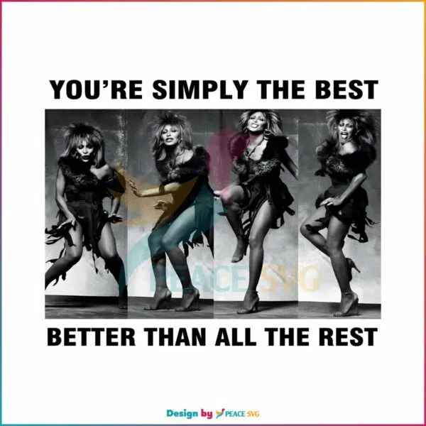 tina-turner-youre-simpy-the-best-png-better-than-all-the-rest-png