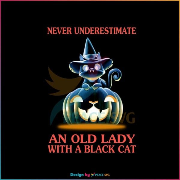 never-underestimate-an-old-lady-with-a-black-cat-png-file