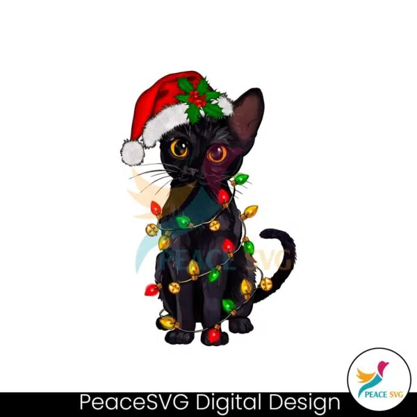 funny-christmas-santa-black-cat-png-sublimation-download