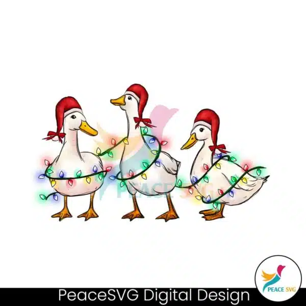 funny-animals-christmas-ducks-santa-hat-png-download