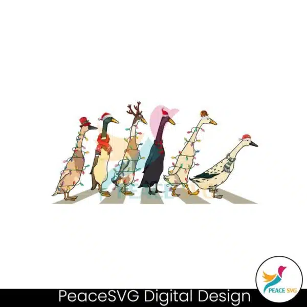 ducks-christmas-light-on-the-street-png-sublimation-file
