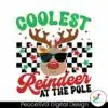 funny-coolest-reindeer-at-the-pole-svg