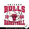 vintage-chicago-bulls-1966-basketball-svg
