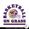 washington-football-basketball-on-grass-svg