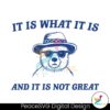 it-is-what-it-is-and-it-is-not-great-meme-svg