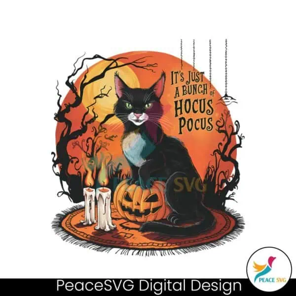 vintage-horror-cat-its-just-a-bunch-of-hocus-pocus-png