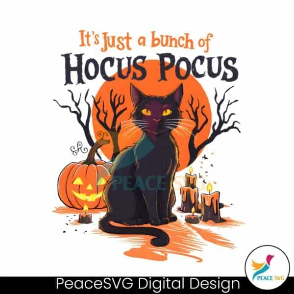 black-cat-its-just-a-bunch-of-hocus-pocus-png