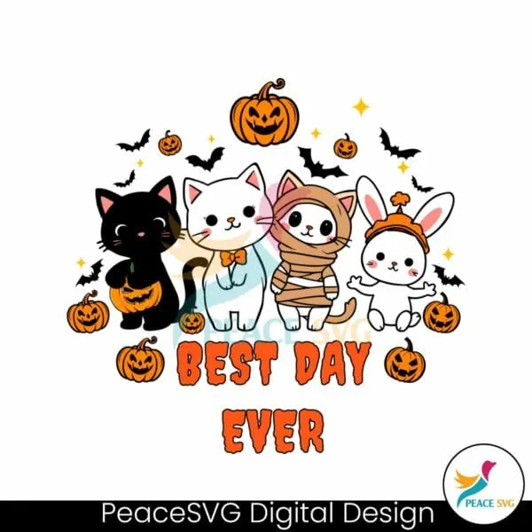 halloween-spooky-cat-pumpkin-svg