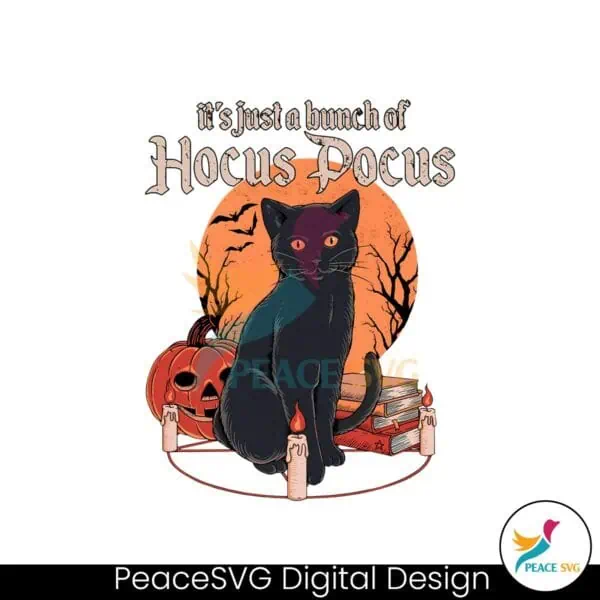 retro-vintage-its-just-a-bunch-of-hocus-pocus-black-cat-png