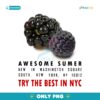 Awesome Summer Try The Best In Nyc Black Raspberry PNG