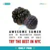 Awesome Summer Try The Best In Nyc Black Raspberry PNG