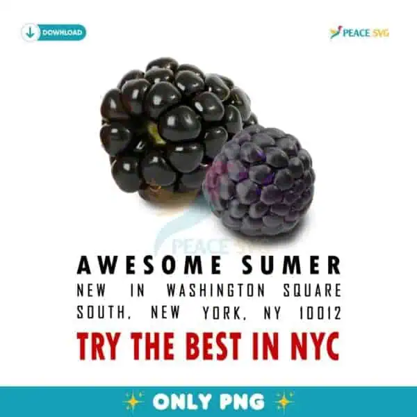 Awesome Summer Try The Best In Nyc Black Raspberry PNG