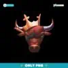 Chicago Bulls Crown x DraftKings Basketball Png