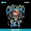 Chicago Sky Basketball Shattered Glass Wnba PNG