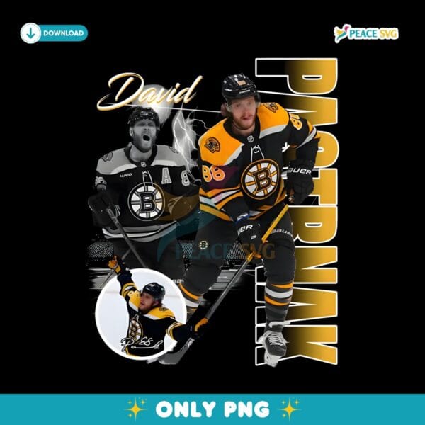 David Pastrnak Boston Bruins Nhl Players PNG