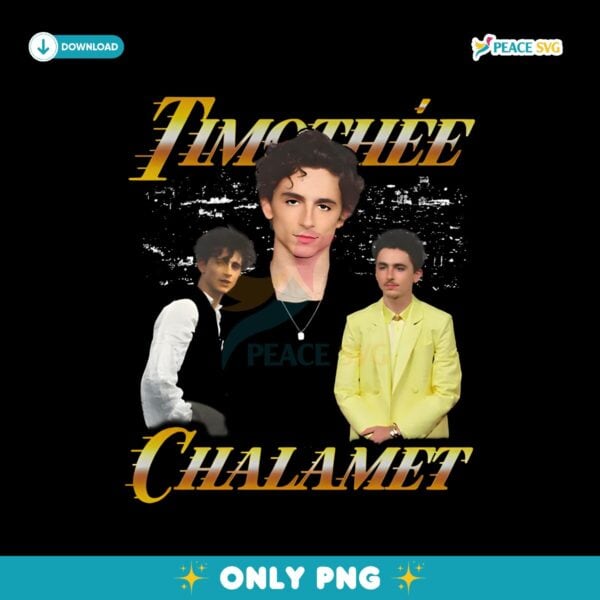 Retro Vintage 90S Timothee Chalamet PNG