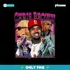 Chris Brown Breezy Bowl XX Tour 2025 PNG Design