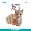 Gay Pointing Cat PNG