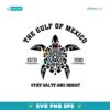 Gulf Of Mexico Stay Salty Resistance Democrat Svg