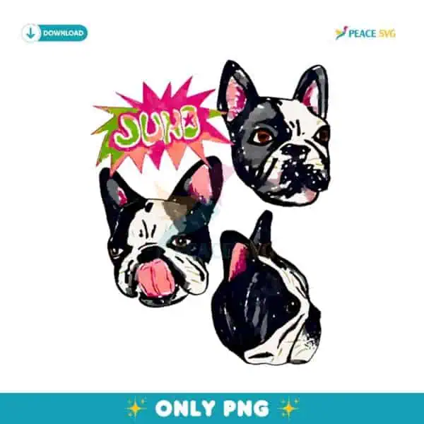 Remi Wolf Juno Dog Big Ideas Tour PNG