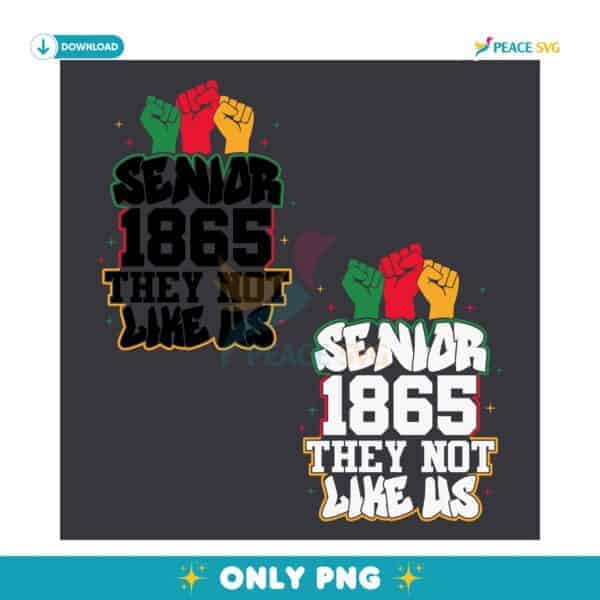 Senior 1865 They Not Like Us Juneteenth Black History Afro America PNG