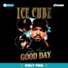 Ice Cube Tribute Today Was A Good Day PNG