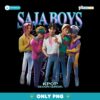 Kpop Demon Hunters Saja Boys Heartthrob Comfort Colors PNG