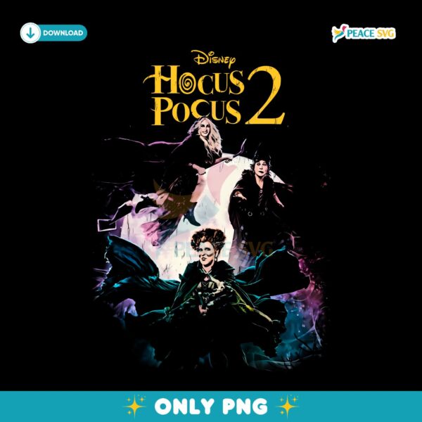 Vintage Disney Hocus Pocus 2 Sanderson Sisters Flying Witch Halloween PNG